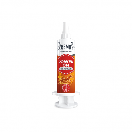 BEMO POWER ON energetinė pasta 50ml BEMO POWER ON energetinė pasta 50ml